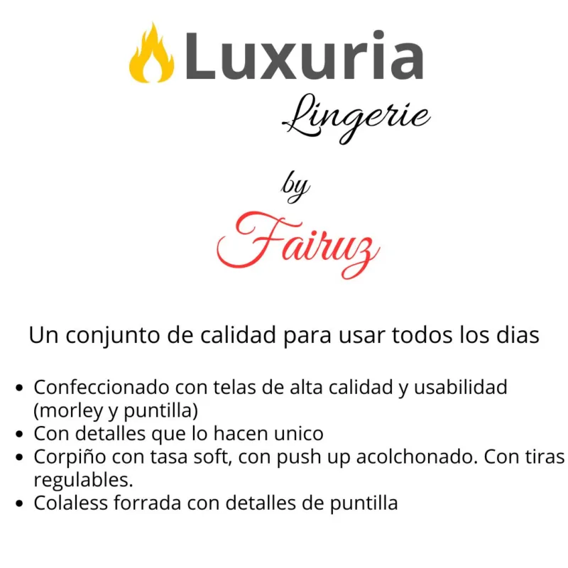 Conjunto Corpiño Taza Soft y Push Up (art 5101) Talle 85 al 100